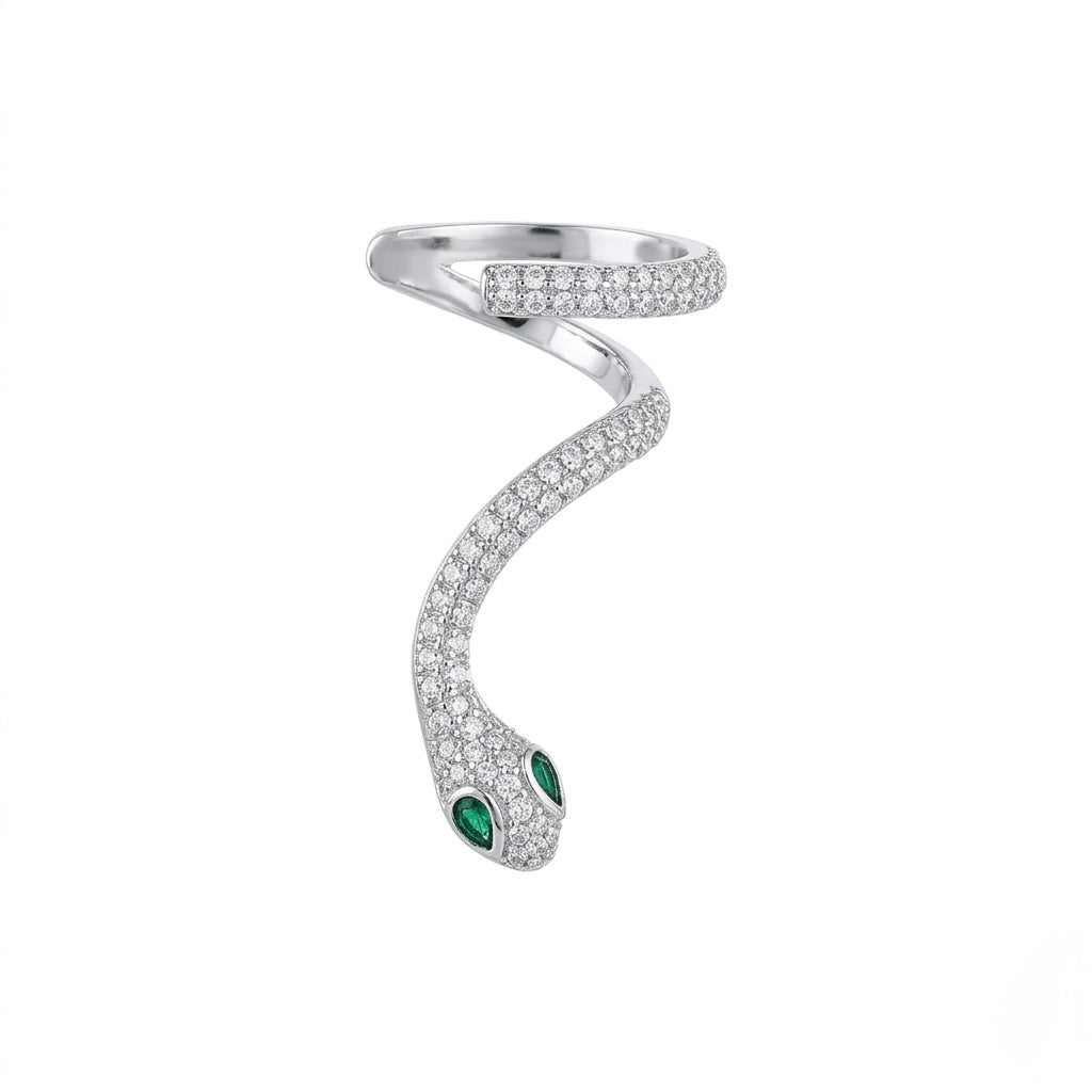 Serpentine shiny silver earcuff & earring